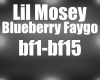 LilMosey Blueberry Faygo