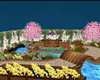 !    HAUSE WITH  GARDEN