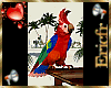 [Efr] Africa Parrot