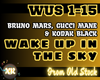 Wake Up In The Sky