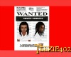 Wanted Flyer (Teezie402)