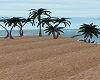playa palmera