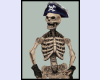 Skeleton  Pirate Avatar