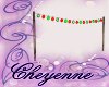 C~ Christmas Lights