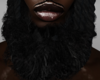 Asteri Beard x2