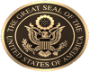 USA Seal pin
