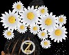 *Daisy Crown*