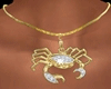 cancer zodiac necklace