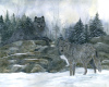wolves in the mountain