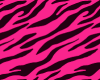 pink zebra bow