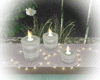 Peal Candles