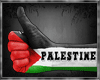 [SH] Palestine Flag