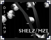 [LyL]Shelz Display Vase