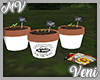 *MV* Garden Pots V1
