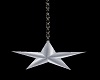 Animated Silver Star