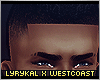 "WC.Monstar Dark Clean"