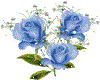 ROSEN HELLBLAU