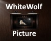 [BD]WhiteWolfPicture