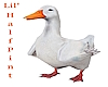My Pet Duck