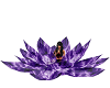 Amethyst Meditate Lotus