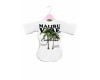 Malibu Vibe