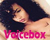 Voice Box [F]