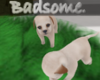 ♛ | New Borns