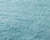 Baby Blue Toilet Rug