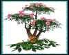 H-Topical Flower tree