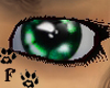 Cute green eyes