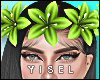Y. Summer Hawaii Crown