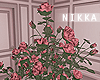 .nkk Paris Roses