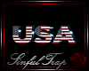 *ST* USA Rug Logo...