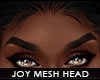 ! joy mesh head | t6