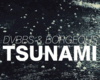 TSUNAMI DVBBS & Borgeous
