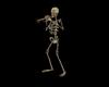 trumpet playing skeleton