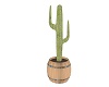 Catus in a Barrel