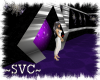 ~SVC~ Purple/Black Club