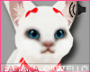 [FC] Valentine Cat Pet