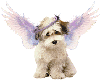 (G) Angel puppy