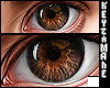 ASTERI ASTRIX (EYES)