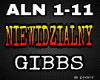 Gibbs - Niewidzialny