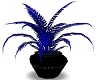 Fern~Plant~Blue