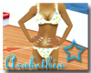 .A. Summer Splash Bikini