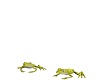 Animated Play Frogs