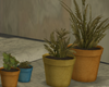 A Change : Plants