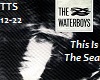 Waterboys ThisIsTheSea 2