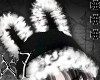 bunny ★彡