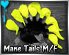 D~Mane Tails: Yellow