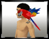 Red Macaw !!Animated Pet